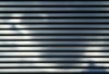 texture - lines
