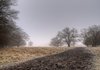 Horsetrack - HDR