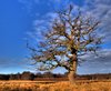 Solitude - HDR