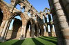 Whitby Abbey 6