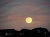 Early Moon