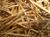 Hay