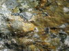wet rocks 1