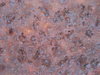 rust 3