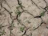 drought