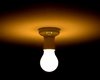lightbulb