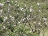 Mandagadde Bird Sanctuary