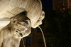Fountain