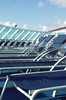 lounge chairs