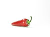 chili pepper