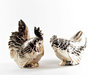 silver cocks