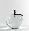 glass apple
