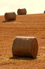 Hay at Harvest 2