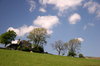 House on the Hill