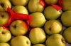 Apples