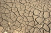 Dry Ground