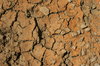 Dry Ground 2