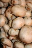 Mushrooms