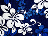 Hibiscus fabric