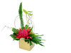 floral arrangement