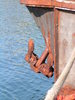 Weigh Anchor