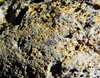 pumice