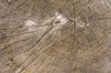 Wooden circle
