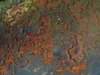 rust