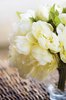 Silky bouquet