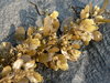 Seaweed