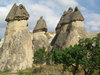 Fairy chimneys in Zelve