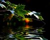 Fractal autumn leaves reflecti