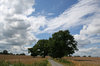 Rural road
