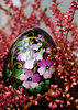 easter egg