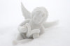 Angel on the snow