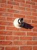 Flue