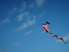 Plane Kite 1