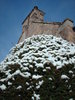 House, snow and bush