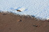 Winter beach 4