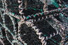 Harbour 1
