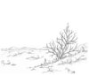 winter landscape drawing