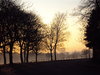 Dawn in Newsham Park