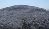 Winter hillside