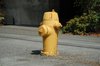 Fire Hydrants 4