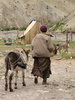 Mule Herder