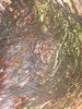 Tree Bark
