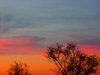 Twilight