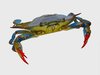 Blue Crab