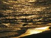 Swim in Gold