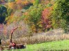 Harvest Time